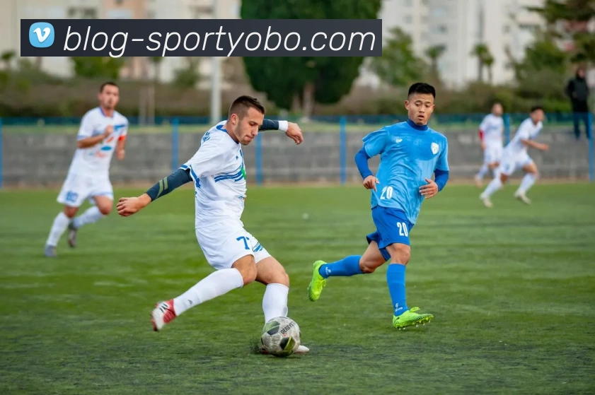 yobo体育平台生态图